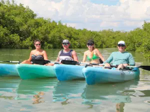 Paddle Naples