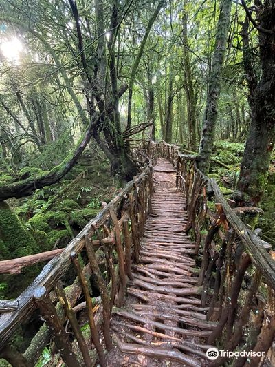 Puzzlewood