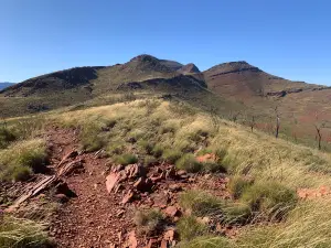 布魯斯山