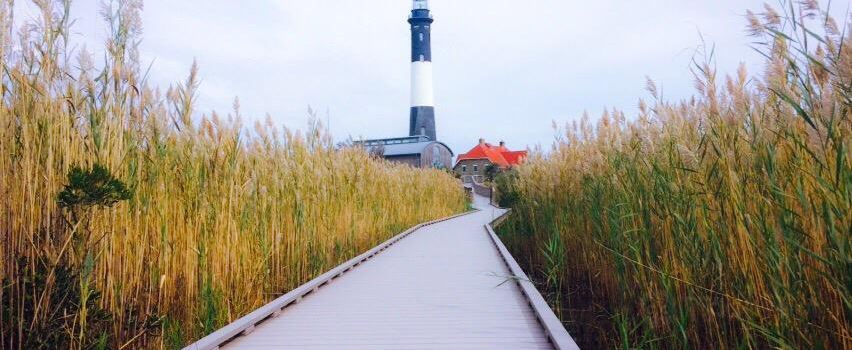 Fire Island