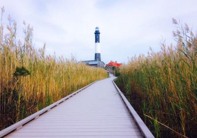 Robert Moses State Park