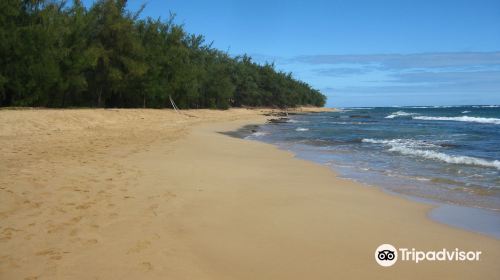 Mahaulepu Beach