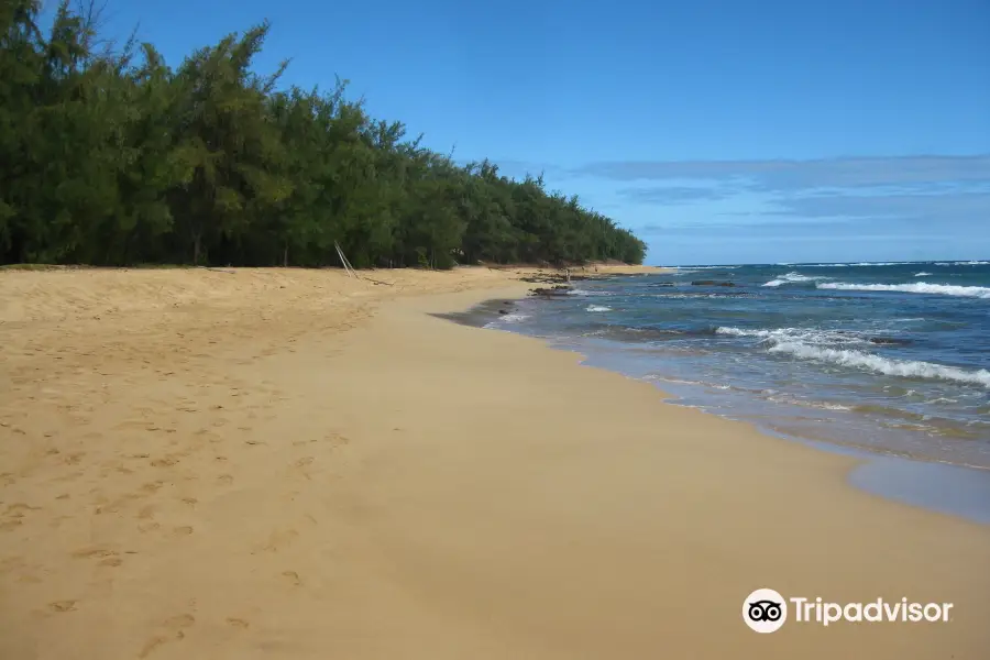 Mahaulepu Beach