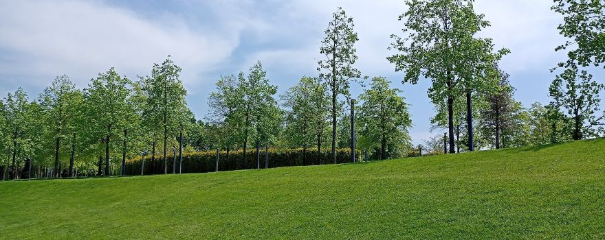 Krasnodar Park