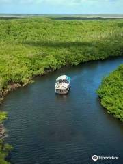 Natureza Tur - Passeios de Barco e Lancha - Barra do Cunhaú