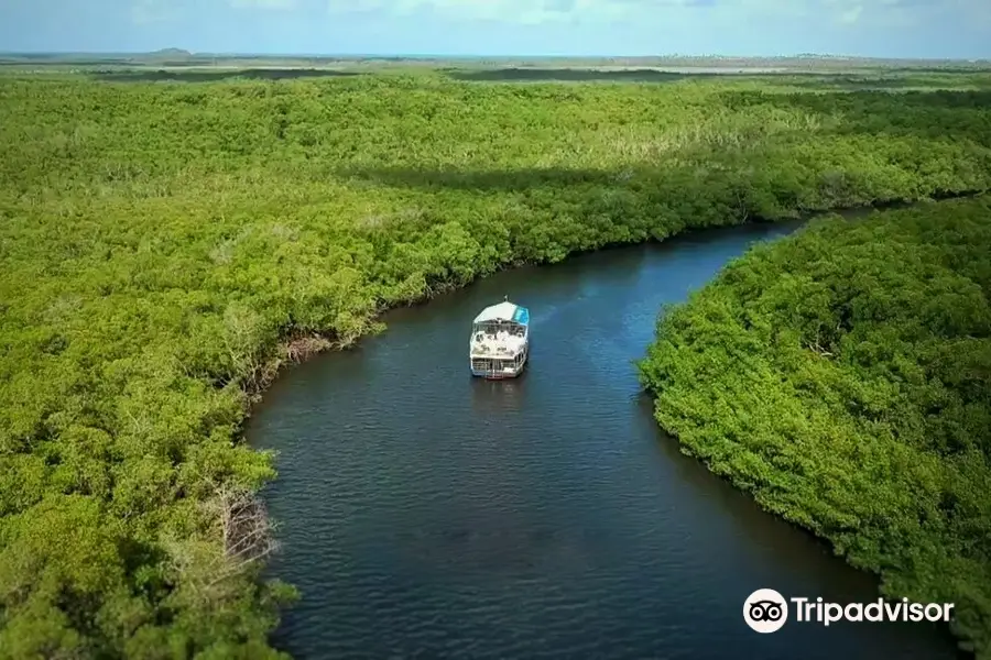 Natureza Tur - Passeios de Barco e Lancha - Barra do Cunhaú