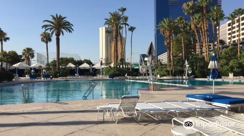 Blu Pool At Horseshoe Las Vegas