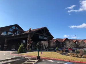 Great Wolf Lodge