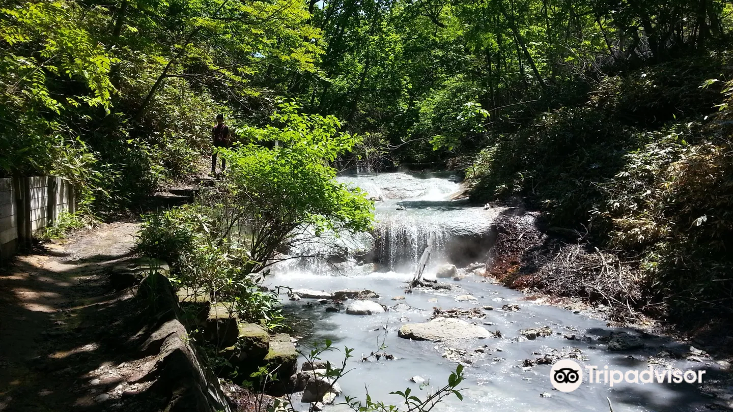 3_大湯沼川 天然足湯