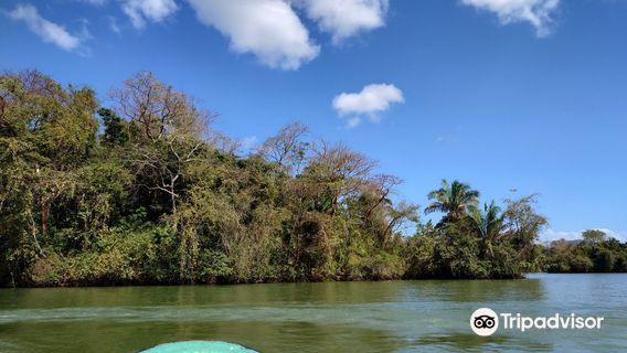 Monkey Island