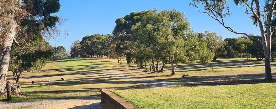 Sandy Creek Golf Club - Barossa Valley (formerly Gawler Golf Club)