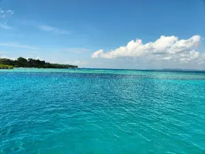 Bharatpur Beach, Neil Island