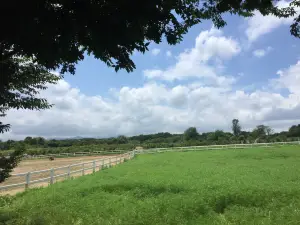 Agroland Taeshin Farm