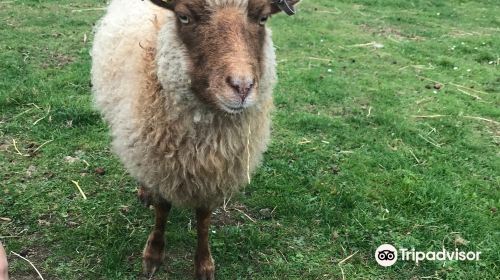 St James City Farm