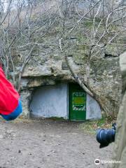 Mlynky Cave