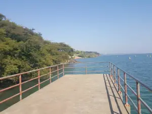 The Figueiral Park