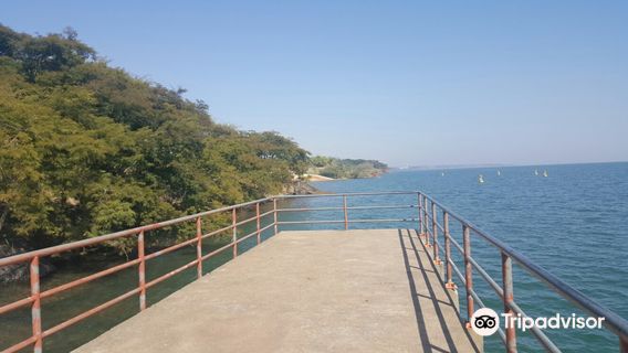 The Figueiral Park