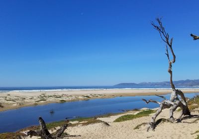 Pismo Beach