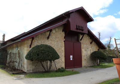 L'écomusée de la vigne et du vin