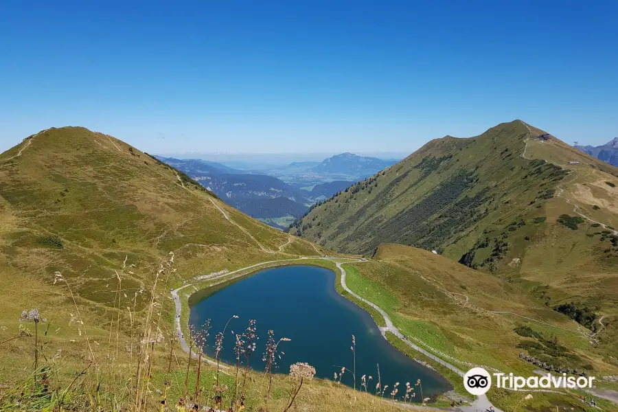 Fellhorn / Kanzelwandbahn