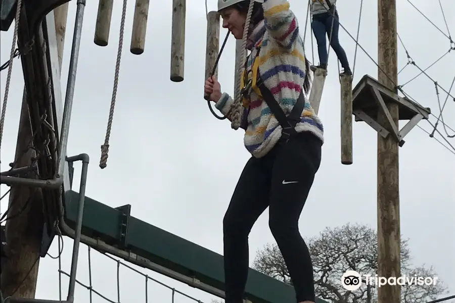 ALTITUDE High Ropes Adventure