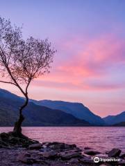 Llyn Padarn