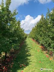 Whitter Fruit Farm