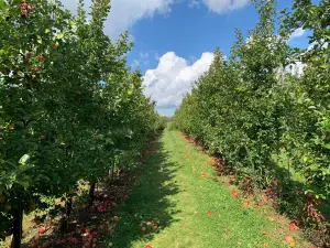 Whittier Fruit Farm