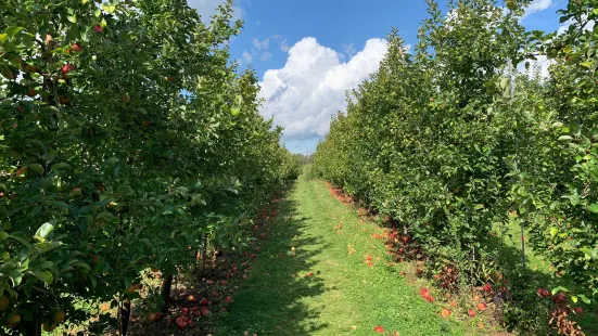 Whittier Fruit Farm