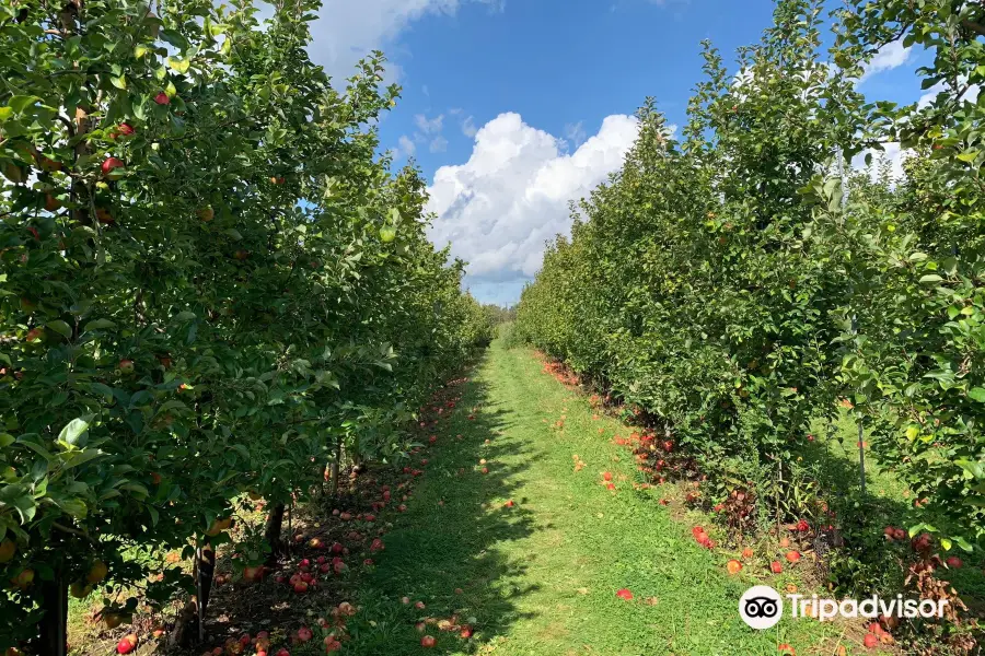 Whittier Fruit Farm