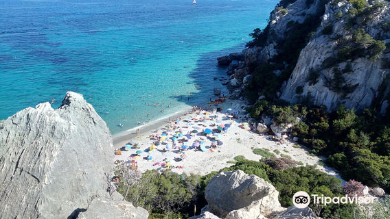 Cala Fuili
