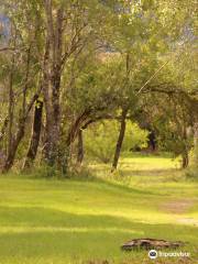 Bosque de las Sombras