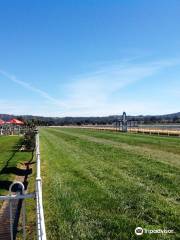 Ararat Turf Club