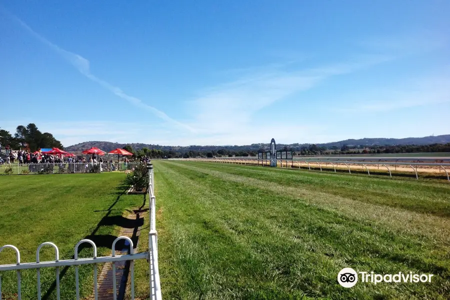 Ararat Turf Club