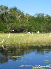 Crooked Tree Wildlife Sanctuary