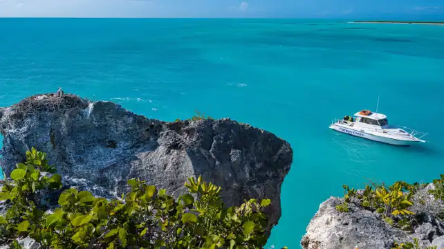 Hotels in Venetian Road Settlement