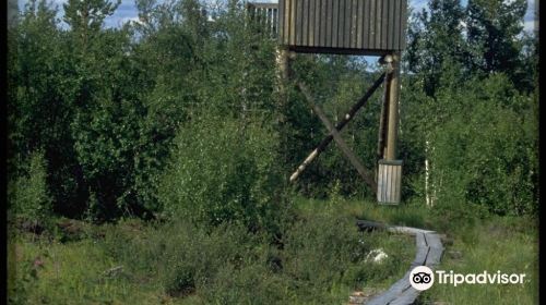 Sotkajarvi bird watching tower