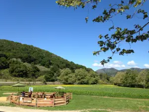 Avila Valley Barn