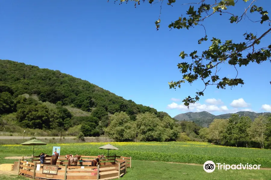 Avila Valley Barn