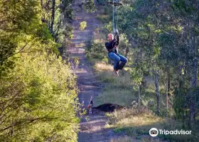 TreeTop Adventure Park Sydney