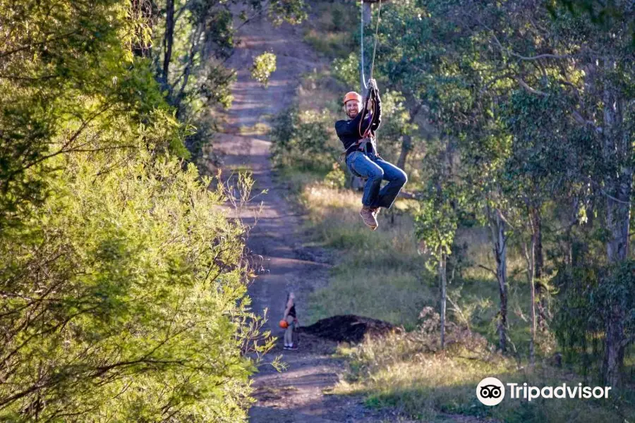 Treetops Adventure Western Sydney