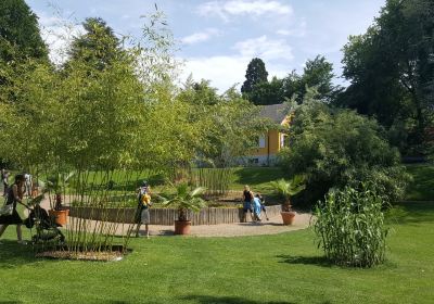 Ботанический сад Университет Фрайбург