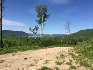 Moberly Lake Provincial Park