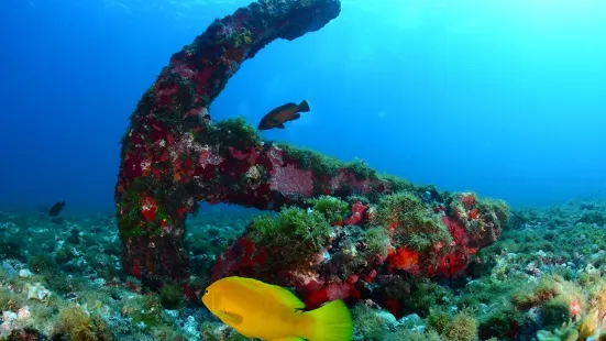 Noronha Divers