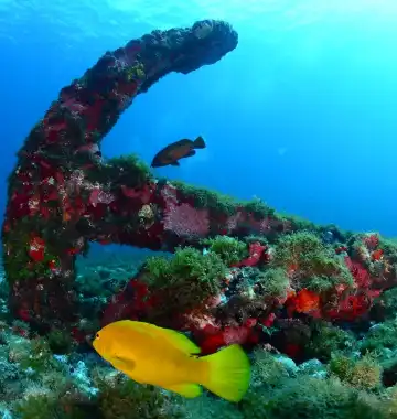 Hotels in Vila dos Remedios