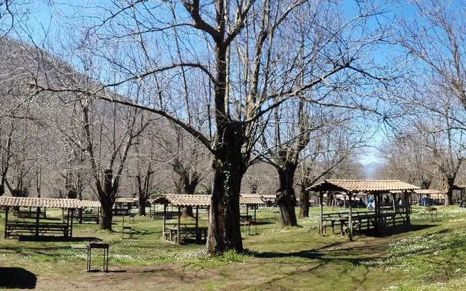 Sala