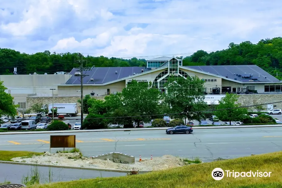 The Galleria of Mt. Lebanon