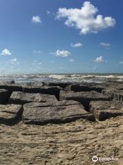 Matagorda Beach