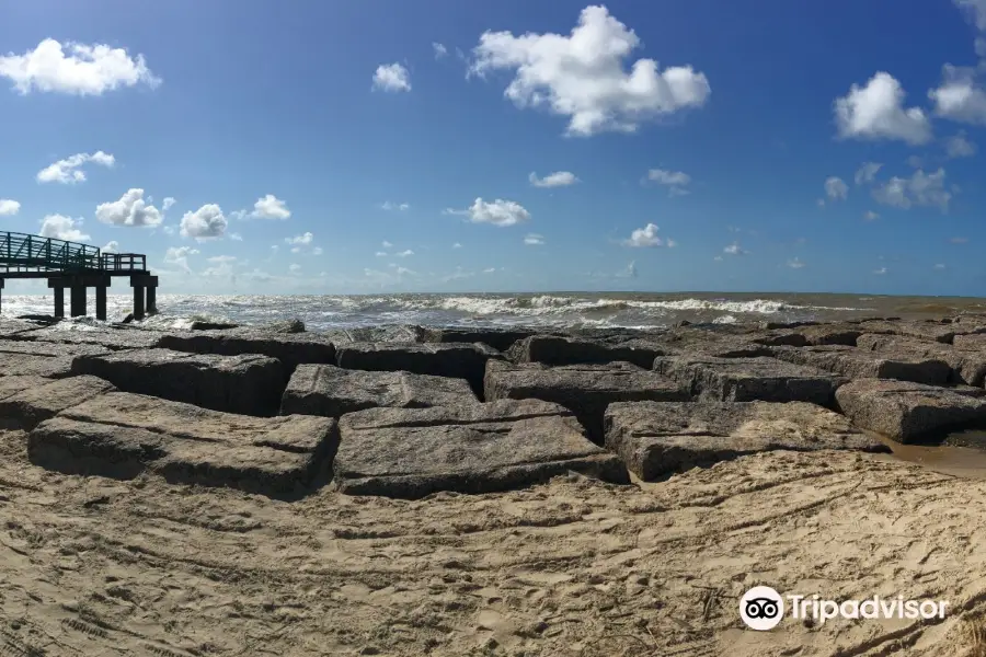 Matagorda Beach