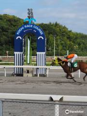 高知競馬場